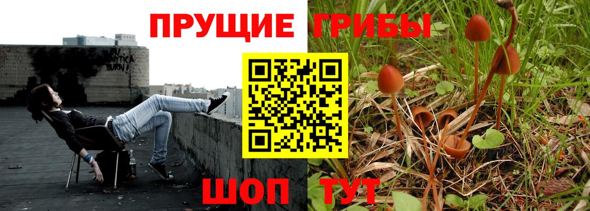 Казань  Галлюциногенные грибы Magic Shrooms  где купить наркотик  Вход с VPN 