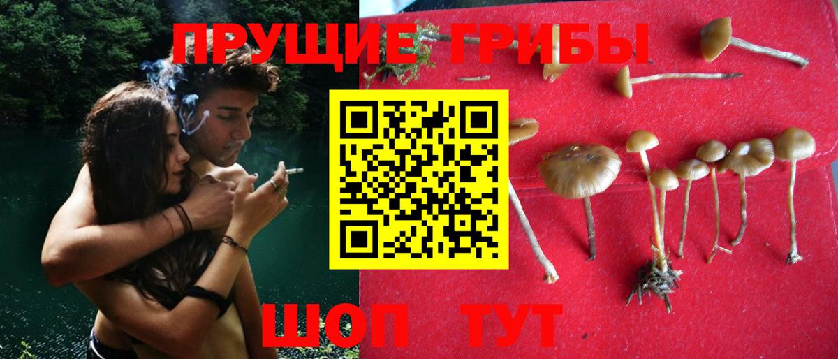 Галлюциногенные грибы мухоморы Казань